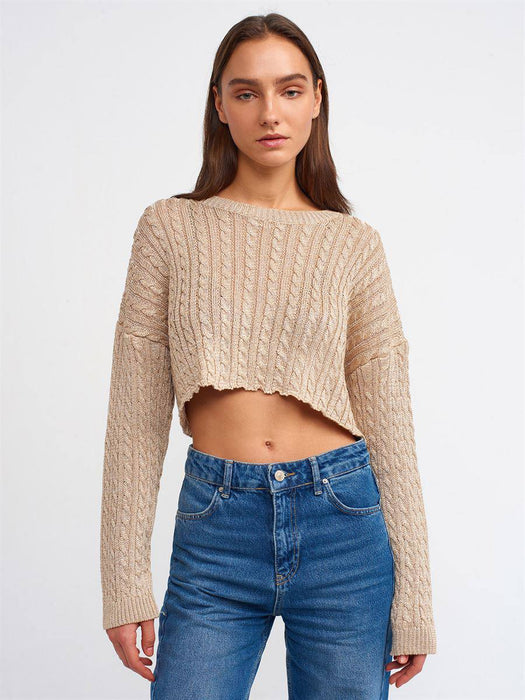 Dilvin Dore Simli Kadın Crop Kazak STD